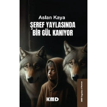 Şeref Yaylasında Bir Gül Kanıyor
