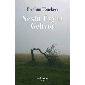 Sesin Üzgün Geliyor