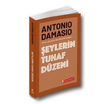 Şeylerin Tuhaf Düzeni