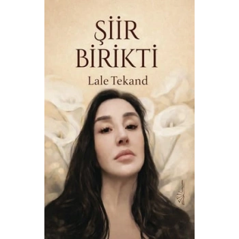 Şiir Birikti