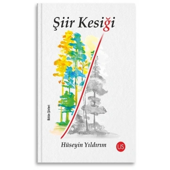 Şiir Kesiği