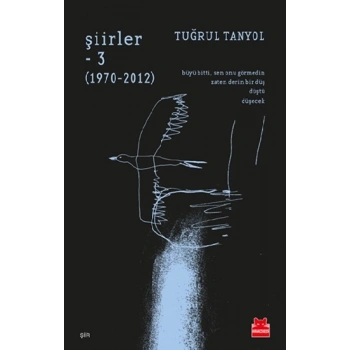 Şiirler - 3 (1970-2012)
