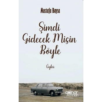 Şimdi Gidecek Misin Böyle