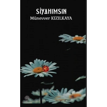 Siyahımsın