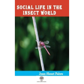 Social Life in the Insect World