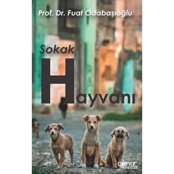 Sokak Hayvanı