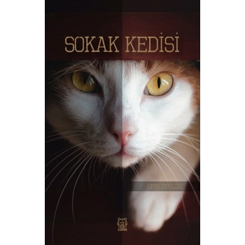 Sokak Kedisi