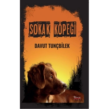 Sokak Köpeği