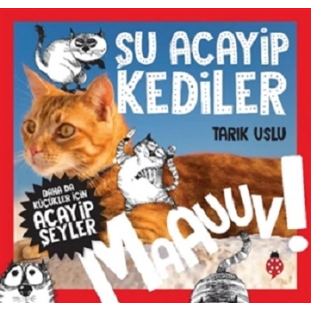 Şu Acayip Kediler - Maauuv!