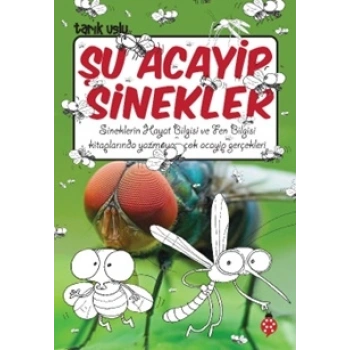 Şu Acayip Sinekler