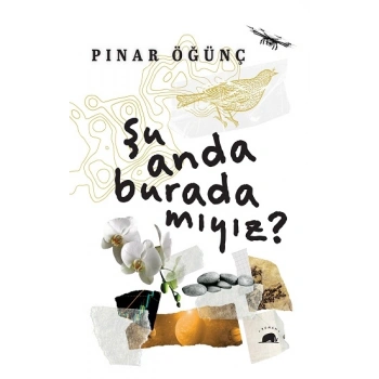 Şu Anda Burada mıyız?