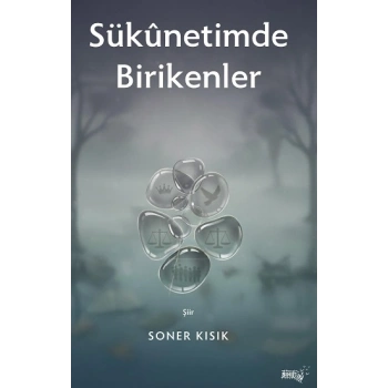 Sukunetimde Birikenler