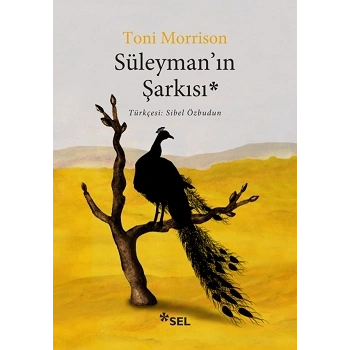 Süleymanın Şarkısı