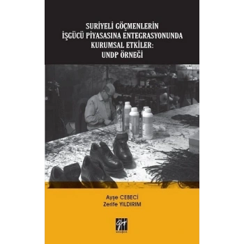 Suriyeli Göçmenlerin İşgücü Piyasasına Entegrasyonunda Kurumsal Etkiler - UNDP Örneği