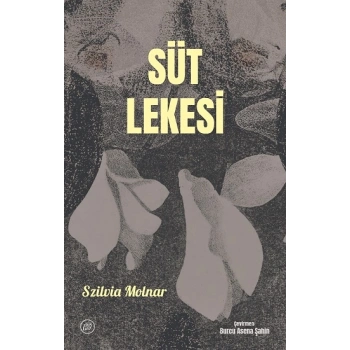 Süt Lekesi