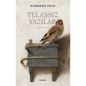 Telaşsız Yazılar