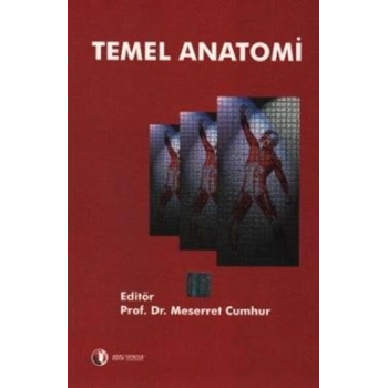 Temel Anatomi