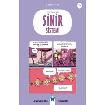 Temel Kavramlarla Sinir Sistemi