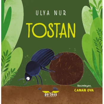 Tostan
