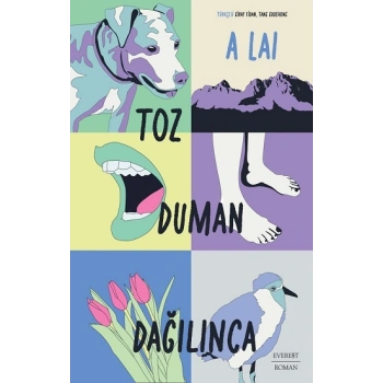 Toz Duman Dağılınca