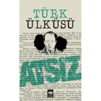 Türk Ülküsü