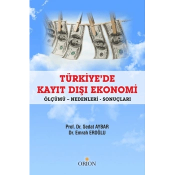 Türkiyede Kayıt Dışı Ekonomi