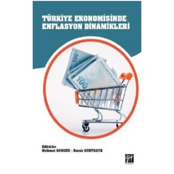 Türkiye Ekonomisinde Enflasyon Dinamikleri