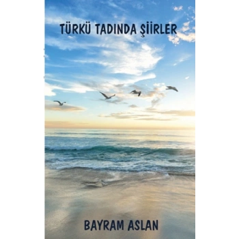 Türkü Tadında Şiirler