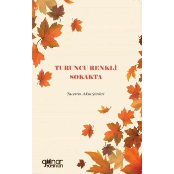 Turuncu Renkli Sokakta