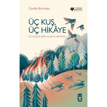Üç Kuş, Üç Hikaye