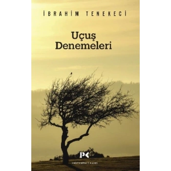 Uçuş Denemeleri
