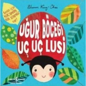 Uğur Böceği Uç Uç Lusi