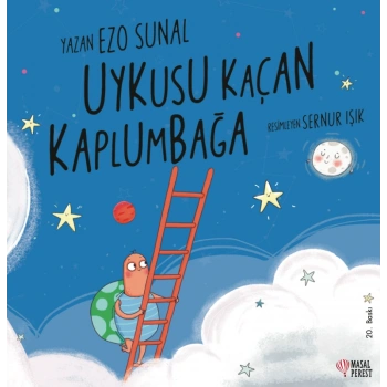 Uykusu Kaçan Kaplumbağa