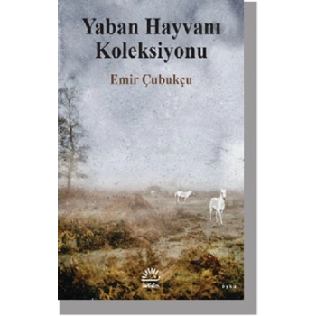 Yaban Hayvanı Koleksiyonu