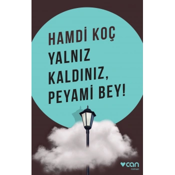 Yalnız Kaldınız, Peyami Bey!