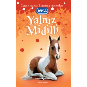 Yalnız Midilli