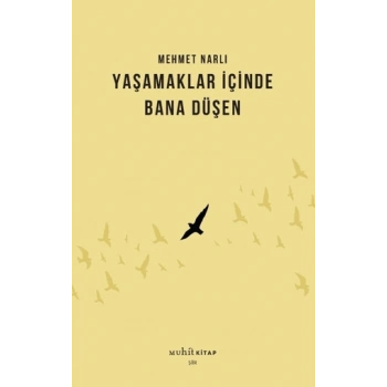 Yaşamaklar İçinde Bana Düşen