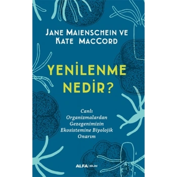 Yenilenme Nedir?