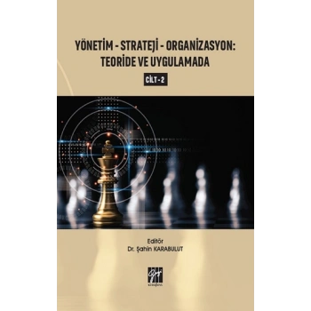 Yönetim - Strateji - Organizasyon Teoride ve Uygulamada (Cilt 2)