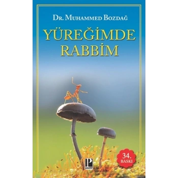 Yüreğimde Rabbim