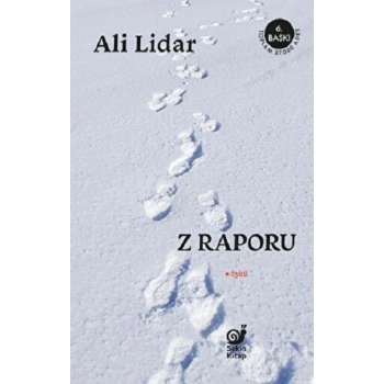 Z Raporu