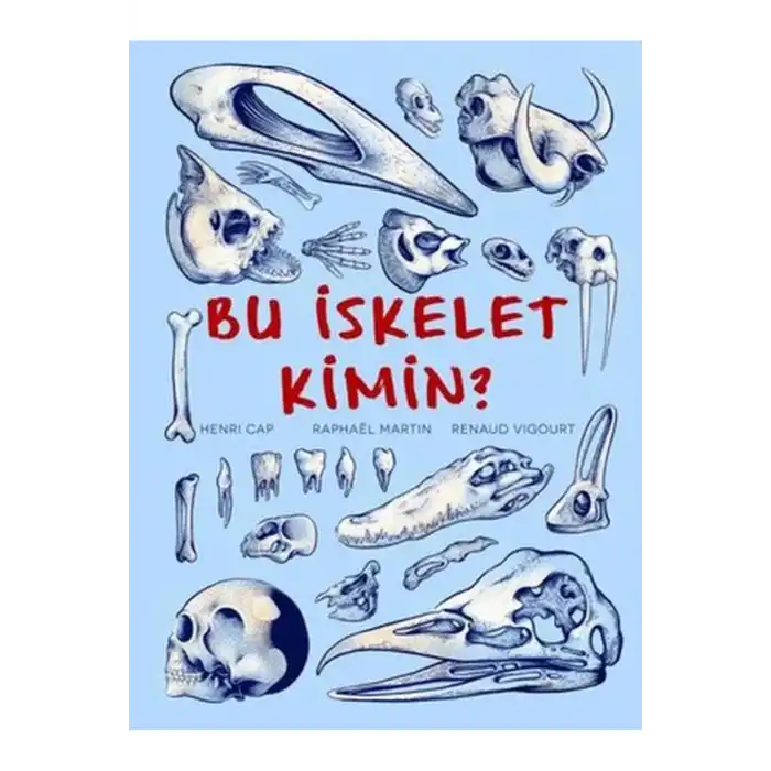 Bu İskelet Kimin?