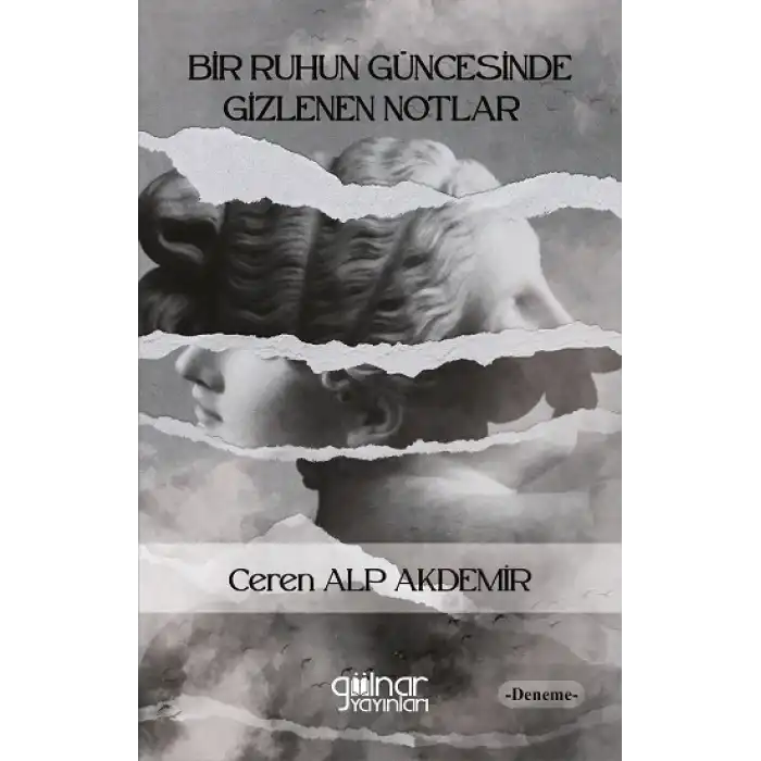 Bir Ruhun Güncesinde Gizlenen Notlar