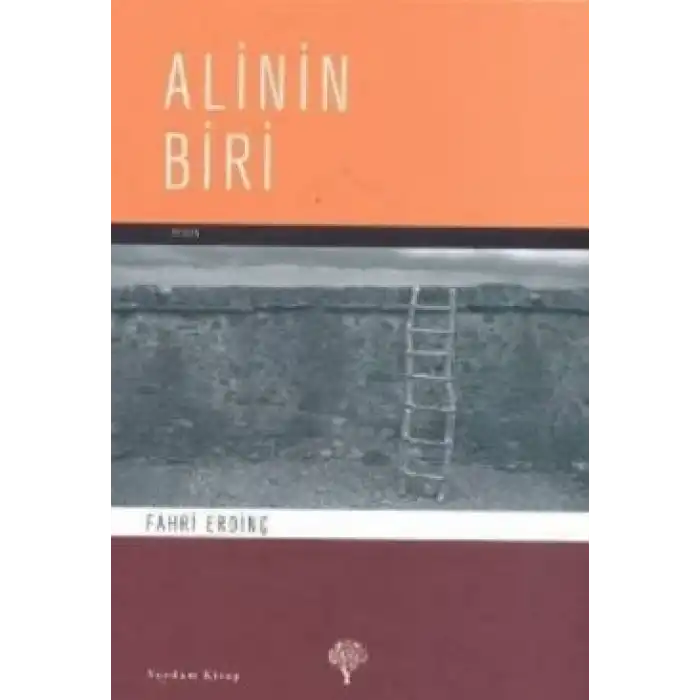Alinin Biri
