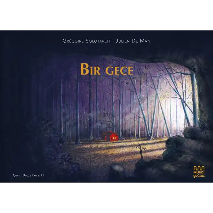 Bir Gece