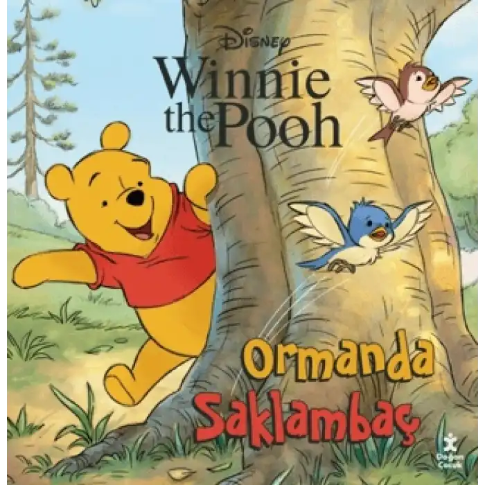 Disney Winnie The Pooh - Ormanda Saklambaç