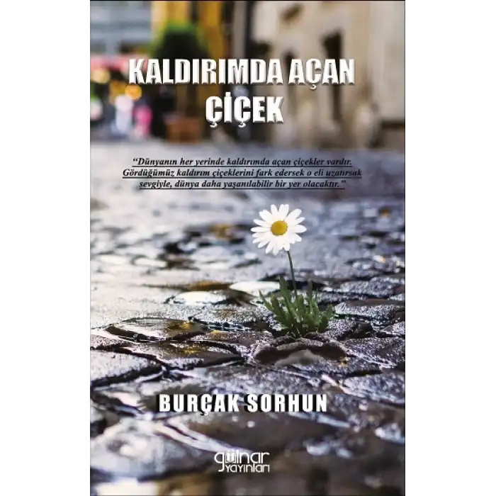 Kaldırımda Açan Çiçek