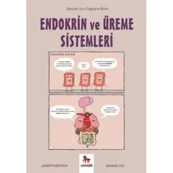 Endokrin ve Üreme Sistemleri – Gençler İçin Çizgilerle Bilim
