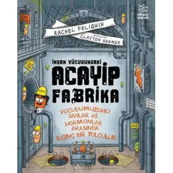 İnsan Vücudundaki Acayip Fabrika