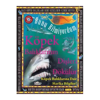 Köpek Balıklarının Dişleri Dökülür - Bunu Bilmiyordum - Köpek Balıklarına Dair Harika Bilgiler!